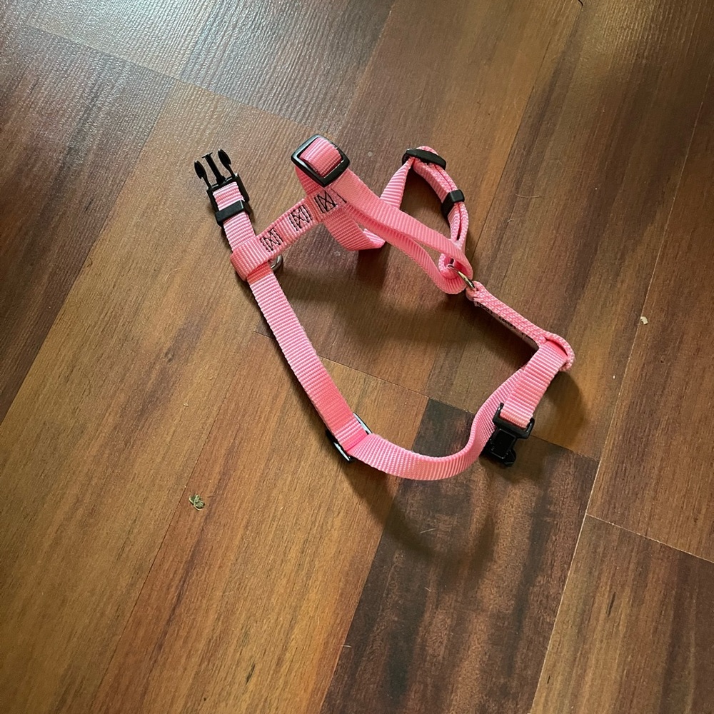 Pink Dog Harness
